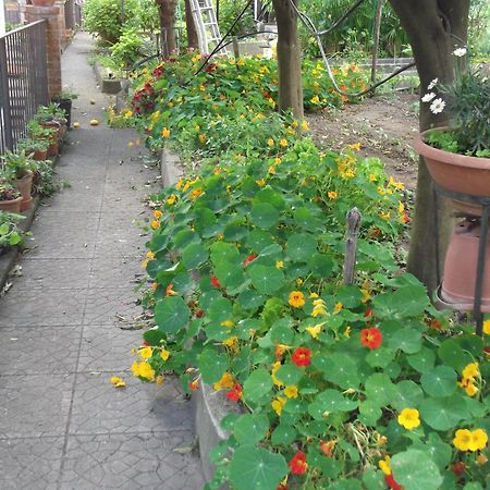 Vietri Le Mimose 빌라 외부 사진
