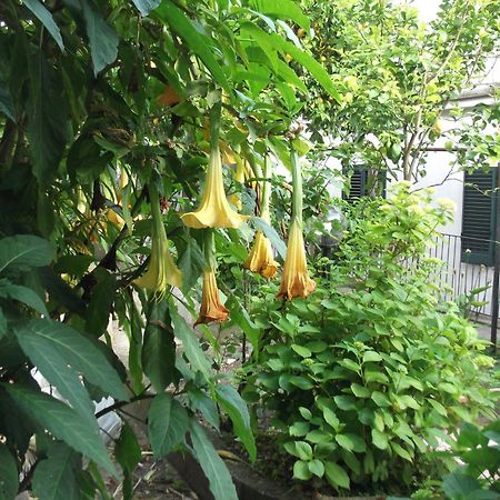 Vietri Le Mimose 빌라 외부 사진