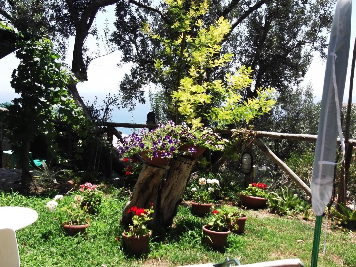 Vietri Le Mimose 빌라 외부 사진