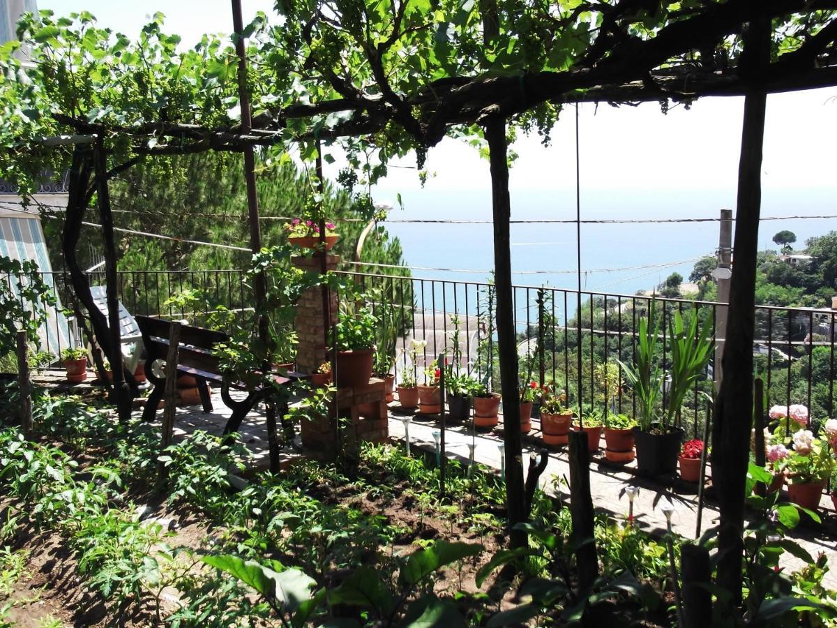 Vietri Le Mimose 빌라 외부 사진
