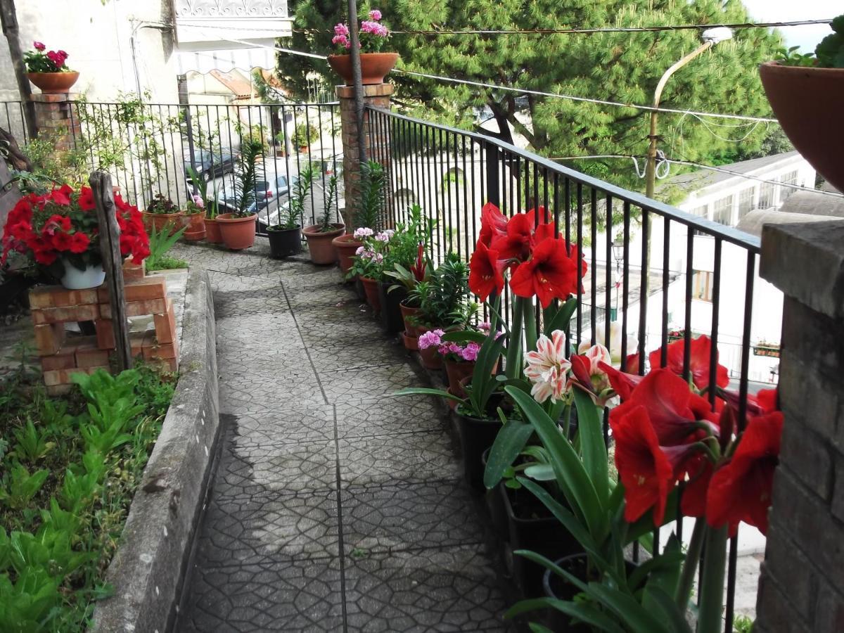 Vietri Le Mimose 빌라 외부 사진