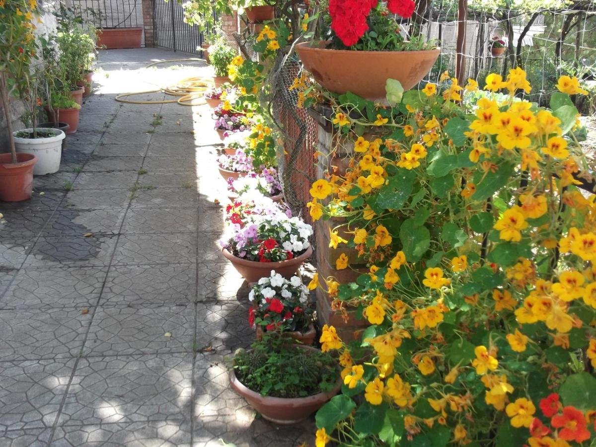 Vietri Le Mimose 빌라 외부 사진
