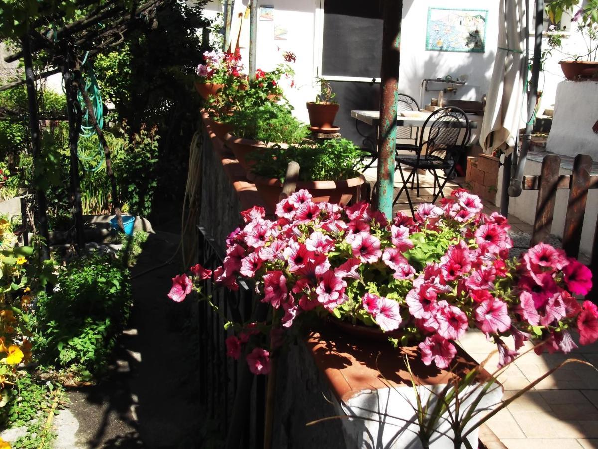 Vietri Le Mimose 빌라 외부 사진