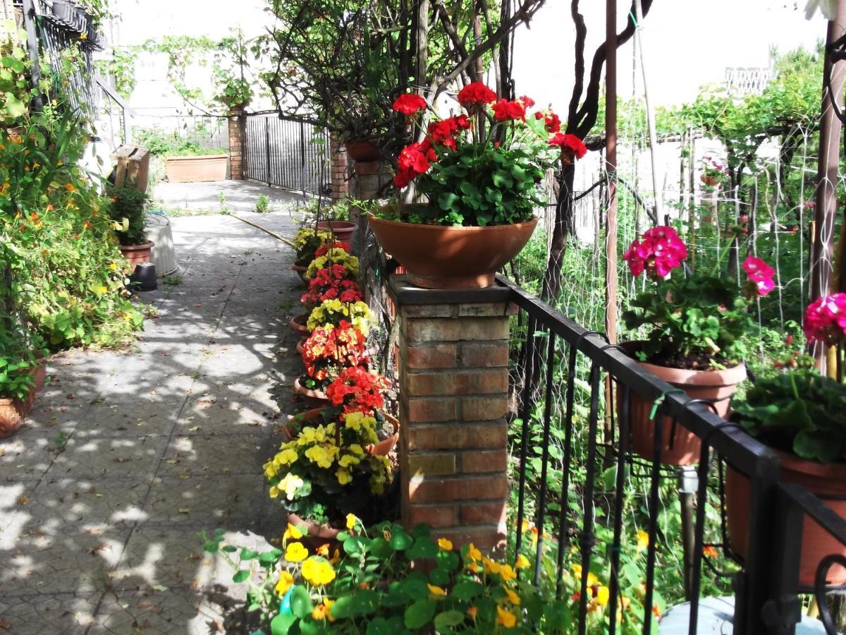 Vietri Le Mimose 빌라 외부 사진