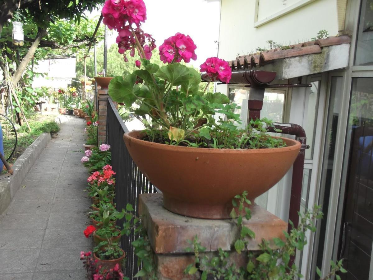 Vietri Le Mimose 빌라 외부 사진