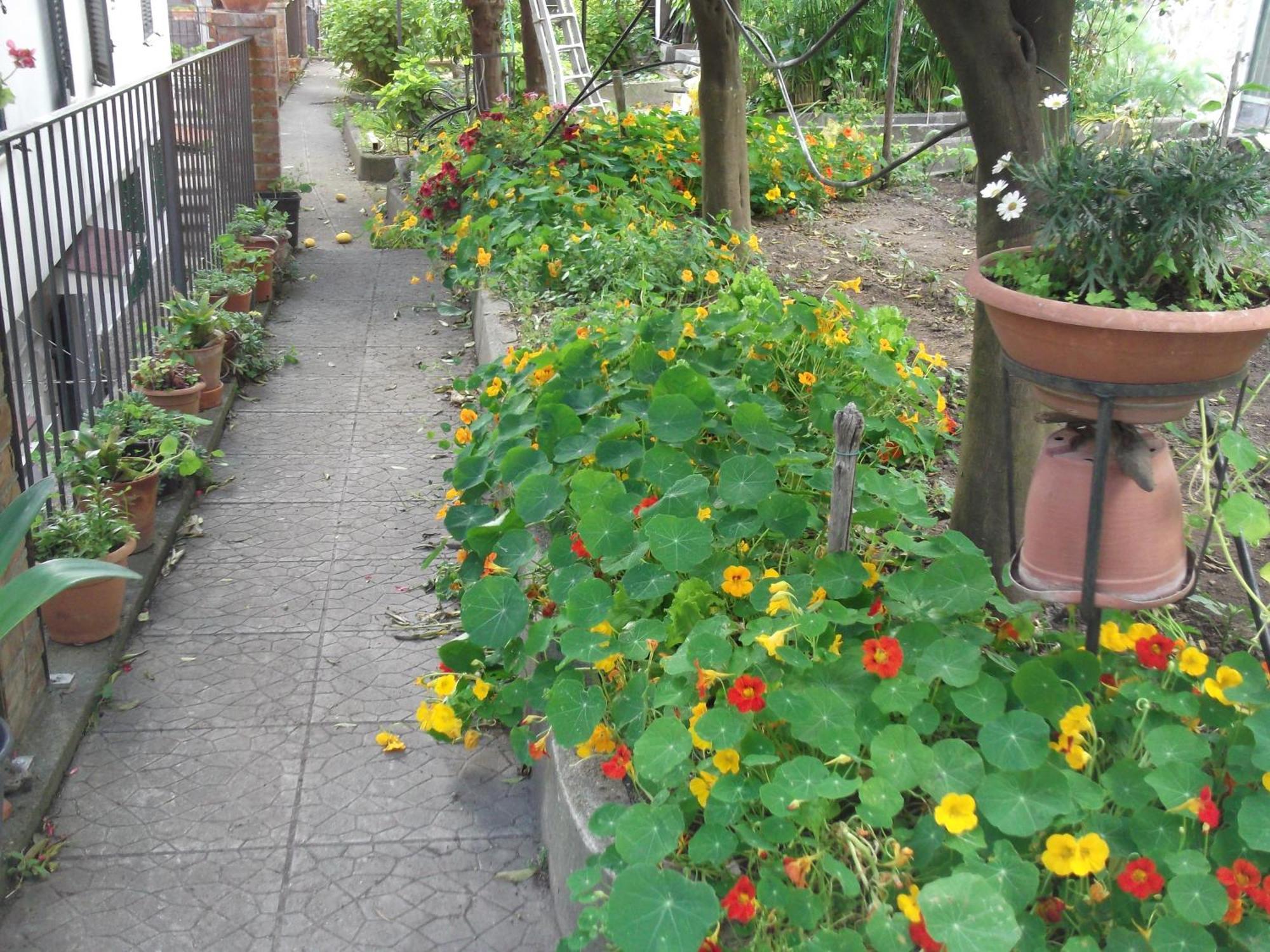 Vietri Le Mimose 빌라 외부 사진