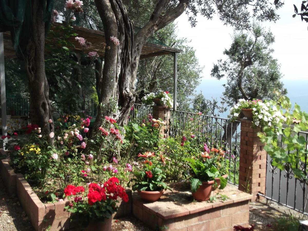 Vietri Le Mimose 빌라 외부 사진