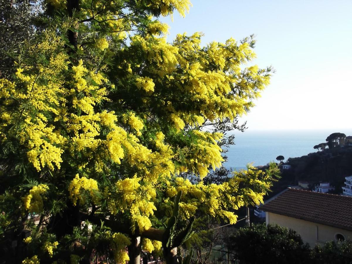 Vietri Le Mimose 빌라 외부 사진